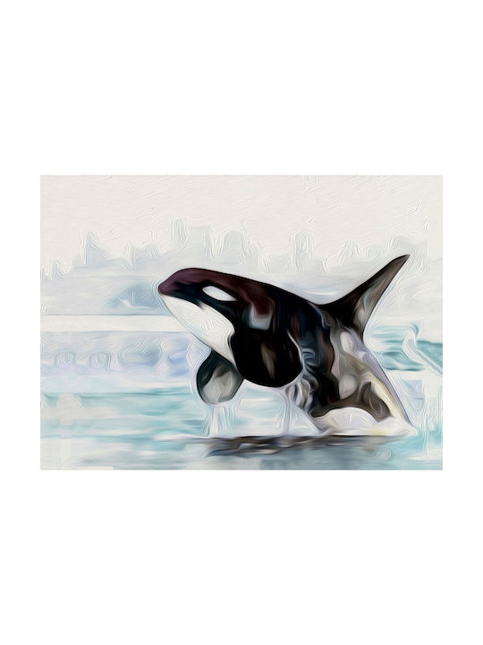 I-gallery 50x35cm