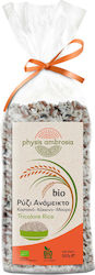 Physis Ambrosia Bio-Reis Mischen Sie 500g