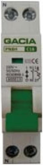 Automatischer Schutzschalter 40A Zweipolig AC 03.018.0289