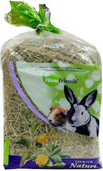 Homefriends Χόρτα για Τρωκτικά 500gr Homefriends Χόρτα για Τρωκτικά 500gr