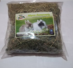 Evia Parrots Iarbă Artificială Pentru Rozătoare 500gr
