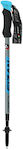 Fizan Pair of Telescopic Aluminum Trekking Poles with 2 Sections F63 Compact Blue 169gr