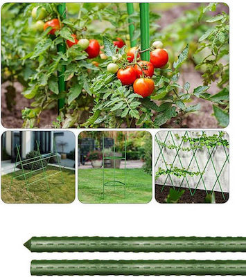 Grasher Plant Support Stick 210cm 003636