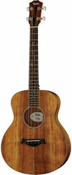 Taylor 4-String Electric/Acoustic Bass