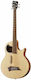 Warwick 5-String Electric/Acoustic Bass