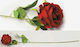 Faitakis Pack Dekorative Blume für DIY-Bastelprojekte Rosa 55x8cm.
