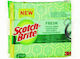 Scotch Brite Kitchen Sponge for Dishes Green Fr...