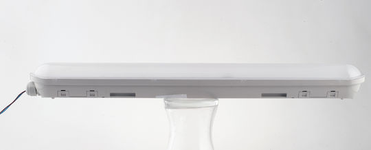 Fan Europe Nautilus Lighting Battens with Built-in LED 21W 59cm