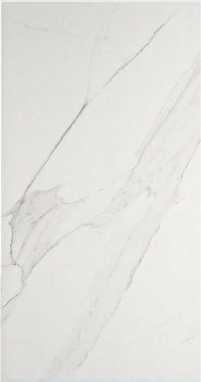 Porcelanato Placă Interior Porțelanat Lucios 120x120cm Alb