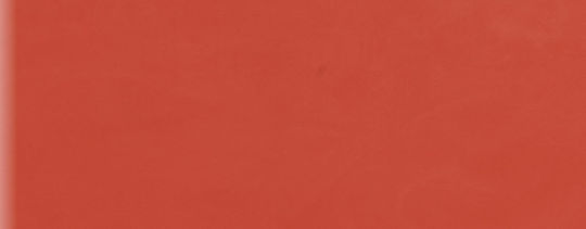 Floor / Wall Interior Matte Ceramic Tile 79.7x31.2cm Red