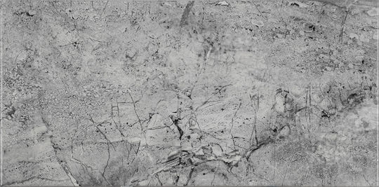 Etili Seramik Placă Interior din Granit Mat 50x25cm Gri