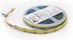 Adeleq LED Strip 24V with Adjustable White Light 5m Adeleq LED Strip 24V with Adjustable White Light 5m