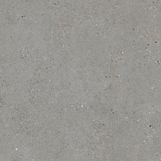Halcon Ceramics Fliese Boden Innenbereich 100x100cm Gray