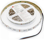 Adeleq LED Streifen Versorgung 24V RGB Länge 5m und 84 LED pro Meter SMD5050