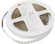 Adeleq Ταινία LED 12V Ψυχρό Λευκό Φως 5m Τύπου SMD2835