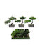 Künstliche Pflanze im Töpfchen Bonsai 22cm ArteLibre