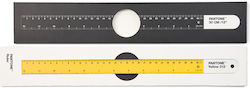 Pantone Lifestyle Metallic Ruler 30cm