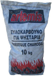 Artemis Kohlen 10kg