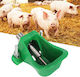 Automatisch Rostfreier Stahl Gießkanne für Schweine und Rinder 9x13cm.
