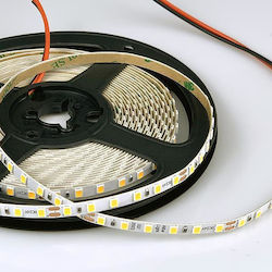 Eurolamp Bandă LED Alimentare 24V cu Lumină Alb Natural Lungime 5m și 180 LED-uri pe Metru SMD2835