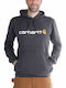 Sweatshirt with Hood Gray
