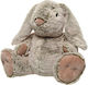 Plush Bunny 20 cm