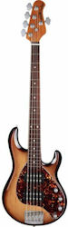 Music Man 5-String Elektrischer Bass