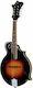 The Loar Akustisch Mandoline mit flachem Körper