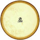 Latin Percussion 12"