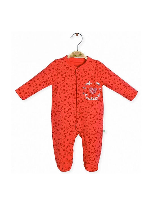 Biorganic Baby Bodysuit Set Long-Sleeved Multicolour