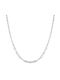 Paraxenies Silver Chain Neck