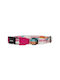 Zee-Dog Dog Collar Small Multicolour