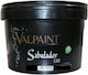 Valpaint Pigment Bej 1lt 40gr