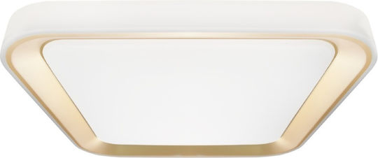 Eko Light Outdoor LED Panel 38W with Cool White Light