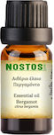 Nostos Pure Essential Oil Bergamot 50ml