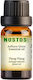 Nostos Pure Ylang Ylang Αιθέριο Έλαιο Ylang-ylang 100ml