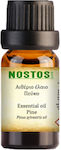 Nostos Pure Essential Oil Pine 100ml