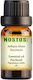 Nostos Pure Patchouli Ulei Esențial Patchouli 100ml