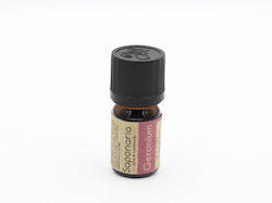 Saponaria Organic Essential Oil Geranium 5ml Saponaria Organic Essential Oil Geranium 5ml