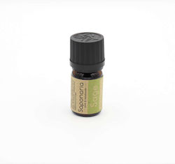Saponaria Organic Essential Oil Sage 5ml