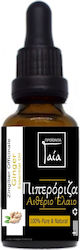 Gaia Products Βιολογικό Αιθέριο Έλαιο Ginger με Σταγονόμετρο 10ml Gaia Products Βιολογικό Αιθέριο Έλαιο Ginger με Σταγονόμετρο 10ml