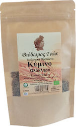 Viodoros Gaia Cumin Organic 35gr