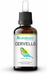 Landmark Cervello Vitamin Für Kanarische Inseln...