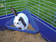 Kerbl Toilet for Rabbit / Hamster