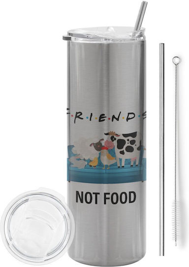 Koupakoupa Eco friendly Glass Thermos Stainless Steel BPA Free 600ml Silver with Straw