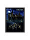 Pyramid International Harry Potter 30x40cm