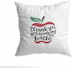 Balloon Souvenir Pillows for Teachers 40x40cm.