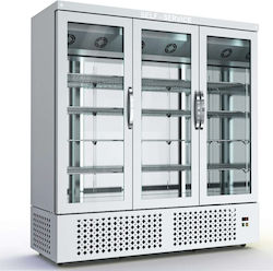 Dominox Selbstbedienungs-Kühlschrank Display-Kühlschrank 1620lt Dominox Selbstbedienungs-Kühlschrank Display-Kühlschrank 1620lt