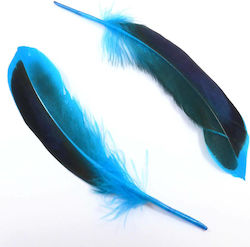 Craft Feathers Set of 10pcs