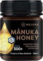 Melora Μέλι Manuka UMF 10+/MGO 300+ 250gr